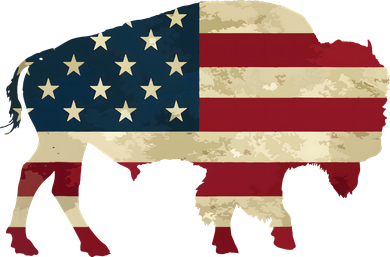 Vintage Buffalo American Flag Bison Patriotic Gift Toddler Sweatshirt