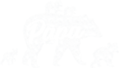 Vintage Papa Father Bear With 4 Cub Mothers Day Magnet