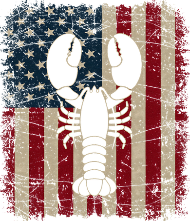 Vintage USA Flag Lobster Animals Lover Sea Fathers Day Toddler Long Sleeve