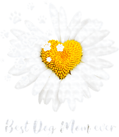 Womens Best Dog Mom Ever Daisy Heart Dog Paw Mother's Day Gifts Women's T-Shirt