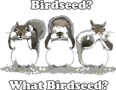 What Birdseed? Squirrel Button