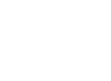 Wyoming Bison Toddler Long Sleeve