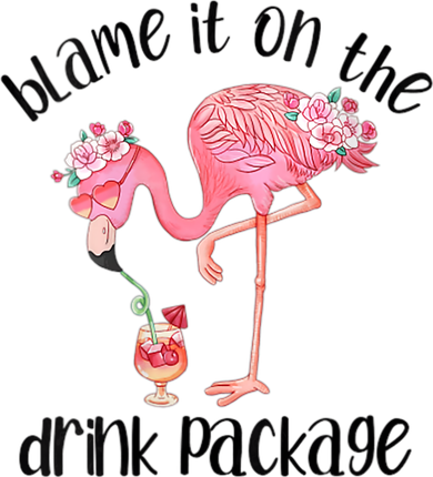 Womens Flamingo Cruise Blame It On The Drink Package Drinking Booze VNeck Women's Long Sleeve Shirt