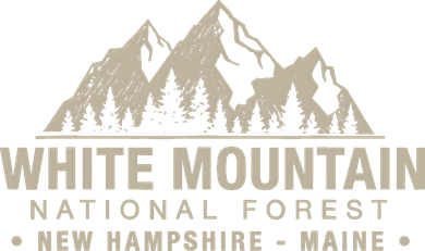 White Mountain National Forest New Hampshire Maine Bucket Hat