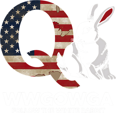 White Rabbit US Flag Q Anon Women's Hoodie