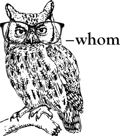 Who Whom Grammar Owl Funny Beanie