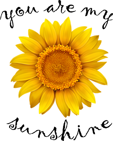 You Are My Sunshine Sunflower Kids T-Shirt