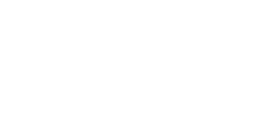 You Belong Among The Wildflowers Ornament