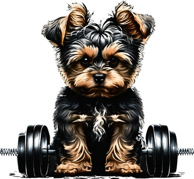 Yorkie Weightlifting Dog Funny Fitness Gym Yorkshire Terrier Women's T-Shirt