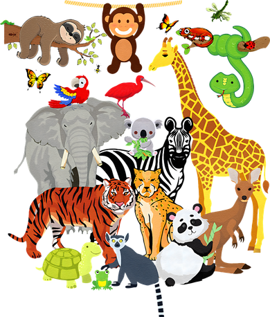 Zoo Animals Wildlife Birthday Party Zoo Day 26 Animals Women's Tank Top