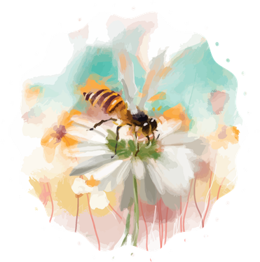Flowers Honeybee Watercolor Women's T-Shirt