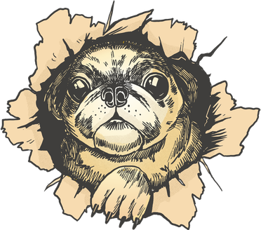 Pug Torn Baby Bodysuit