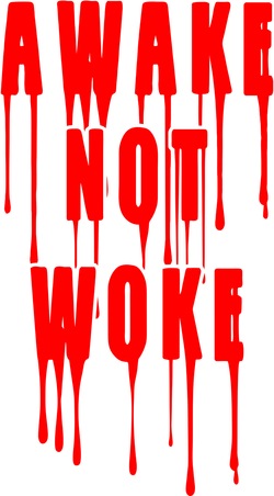 Awake Not Woke Patriotic American Pride Bloody Kids Hoodie