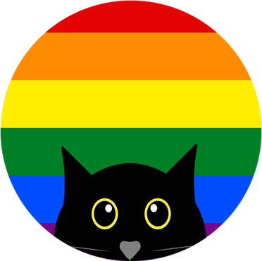 Peeking Cat Colorful Rainbow Kids Sweatshirt