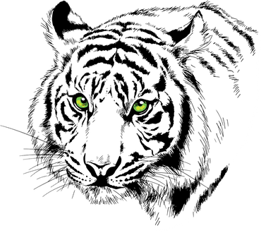 White Tiger Face Kids Hoodie