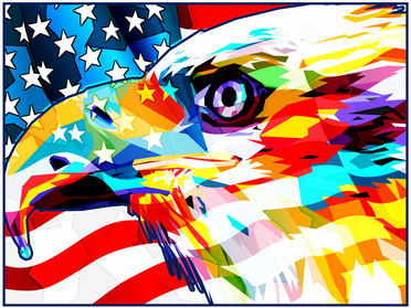 Colorful USA American Flag Eagle Head Pop Art Pajama Set