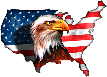 United States Of America Bald Eagle Toddler Hoodie