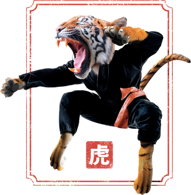 Kungfu Tiger Toddler Long Sleeve