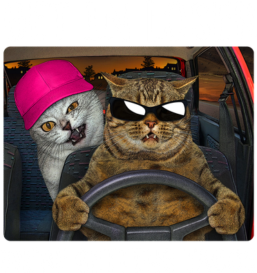 Funny Cats Get In Loser We're Getting Tacos Doggie Tank
