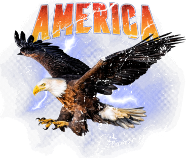 American Dreamer Bald Eagle In Action Toddler Hoodie