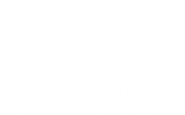 The American Bison Kids Sweatshirt