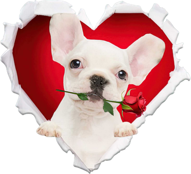White French Bulldog Dog Rose Heart Valentines Day Couple Gift Toddler T-Shirt