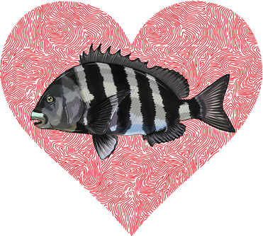 Sheepshead Valentines Day Fish Love Fingerprint Meaningful Gift Toddler T-Shirt