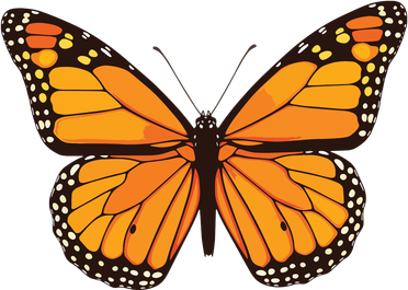 Cute Monarch Butterfly Doggie Tank