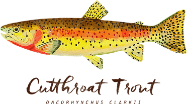 Retro Cutthroat Trout Vintage Fly Fishing Baby Bodysuit