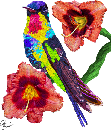 Colorful Hummingbird Bird Animal Birthday Mother’s Earth Day Gift Coffee Mug