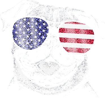 Pug 4th Of July USA American Flag Dog Dad Mom Lover Vintage Toddler T-Shirt