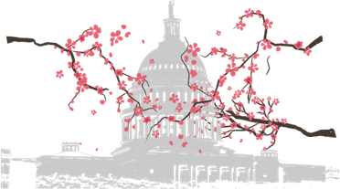 Washington Dc Capitol Hill Usa Souvenir Cherry Blossoms Gift Coaster
