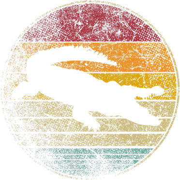 Crocodile Alligator Gator Sun Retro Vintage 70s 80s Women's T-Shirt