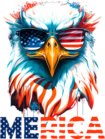 Merica Bald Eagle USA Eagle 4th Of July Patriotic Funny Toddler Hoodie