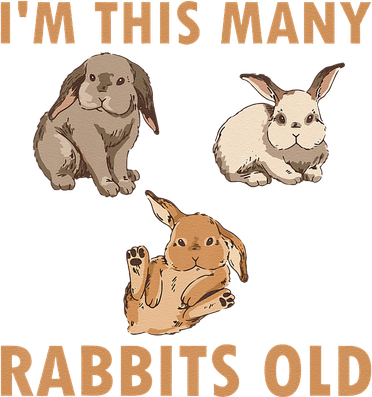 Funny 3 Year Old Bunny Rabbits Old 3rd Birthday Hat