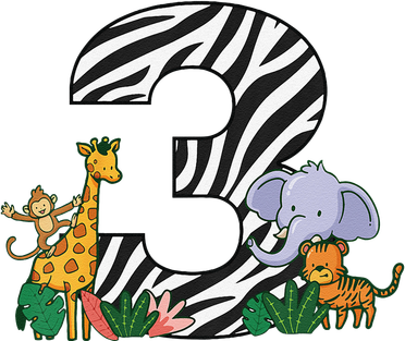 Funny Wild 3rd Birthday Zoo Outfit Jungle 3 Year Old Women's Hoodie