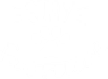Stay Pawsitive (Positive) Gift Hat