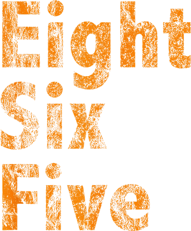 865 Area Code Tennessee Knoxville Eight Six Five Fan Ornament