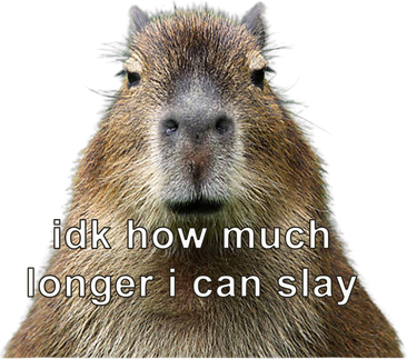 Capybara Idk How Much Longer I Can Slay Tank Top