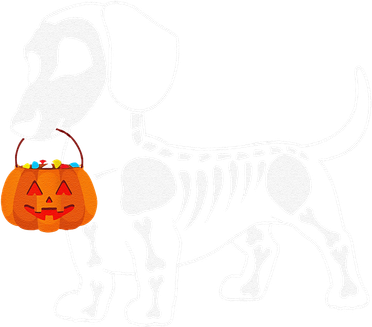 Halloween Dachshund Skeleton Weenie Wiener Sausage Dog Women's T-Shirt