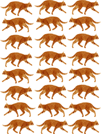 Orange Cat  Orange Tabby Cat lovers pattern Women's Sweatshirt
