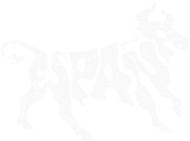 Spain Bull Word Art  Cool Espana funny  Animal  Sweatshirt