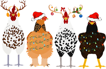Funny Christmas Chicken Farm Animals  Women's T-Shirt