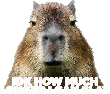 Idk How Much Longer I Can Slay Capybara Sarcastic Dank Meme Toddler Long Sleeve