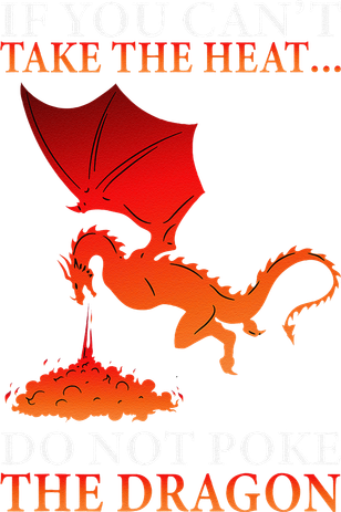 Cool Dragon Flame Spewing Flying Mythical Creature Kids Hoodie