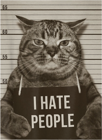 Funny Cat Police Mugshot I Hate People Tank Top