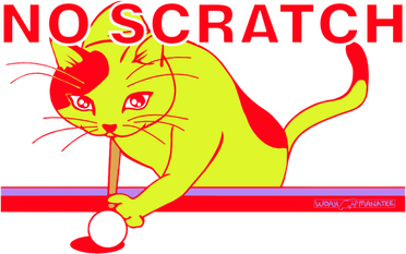 No Scratch Billiards Cat Pool Table Meaningful Gift Kids Hoodie