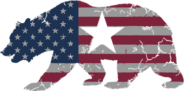 California Republic Bear American Flag 4th Of July Usa Kids Hoodie