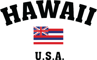 Hawaii Usa With American Flag Button