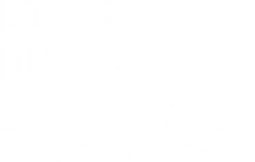 Being A Functional Adult Everyday Seems A Bit Excessive Funny Tank Top
